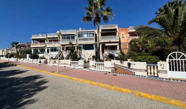 Brukt - Tosidig -
Guardamar del Segura - Costa Blanca