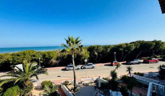 Brukt - Tosidig -
Guardamar del Segura - Costa Blanca