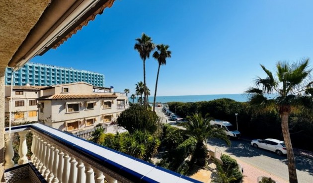 Brukt - Tosidig -
Guardamar del Segura - Costa Blanca