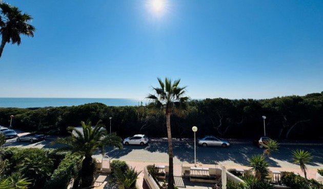 Brukt - Tosidig -
Guardamar del Segura - Costa Blanca