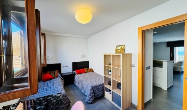 Brukt - Tosidig -
Guardamar del Segura - Costa Blanca