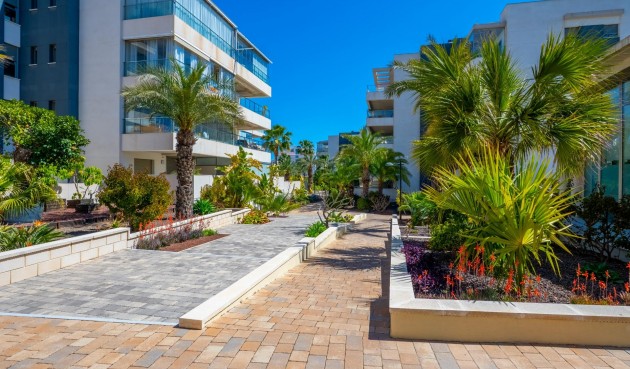 Brukt - Apartment -
Orihuela Costa - Los Dolses