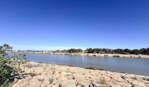 Brukt - Apartment -
Guardamar del Segura - Costa Blanca