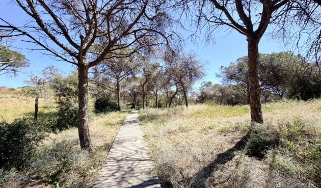 Brukt - Apartment -
Guardamar del Segura - Costa Blanca