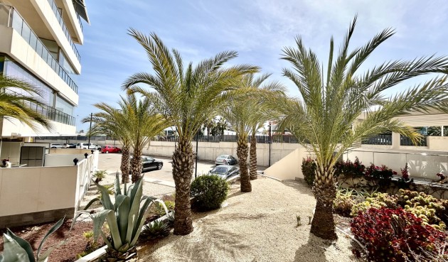 Brukt - Apartment -
Los Dolses - Inland