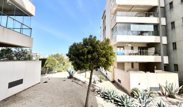 Brukt - Apartment -
Los Dolses - Inland