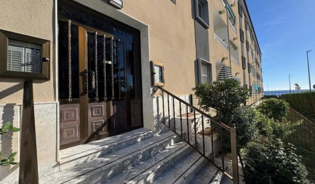 Brukt - Apartment -
Torrevieja - Punta Prima