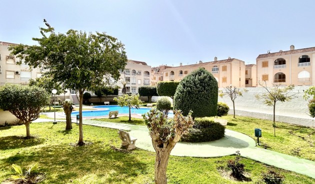 Brukt - Apartment -
Torrevieja - Costa Blanca