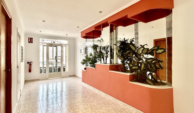 Brukt - Apartment -
Torrevieja - Costa Blanca