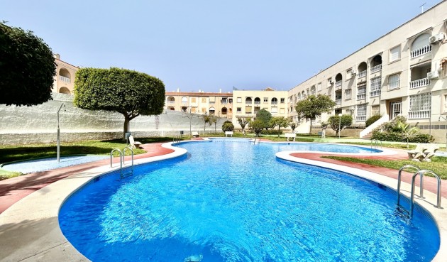 Brukt - Apartment -
Torrevieja - Costa Blanca