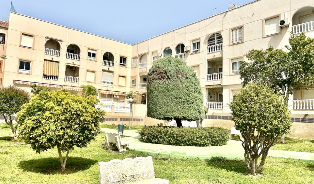 Brukt - Apartment -
Torrevieja - Costa Blanca