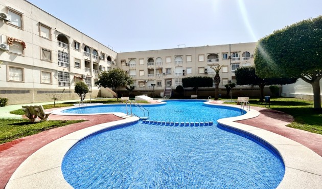 Brukt - Apartment -
Torrevieja - Costa Blanca