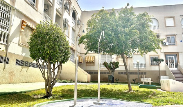 Brukt - Apartment -
Torrevieja - Costa Blanca