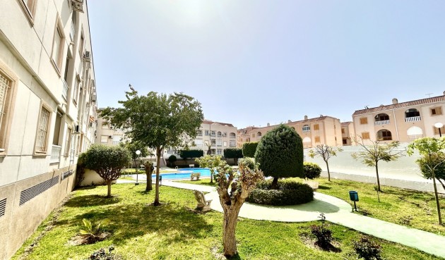 Brukt - Apartment -
Torrevieja - Costa Blanca