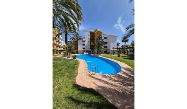 Brukt - Apartment -
Punta Prima - Costa Blanca