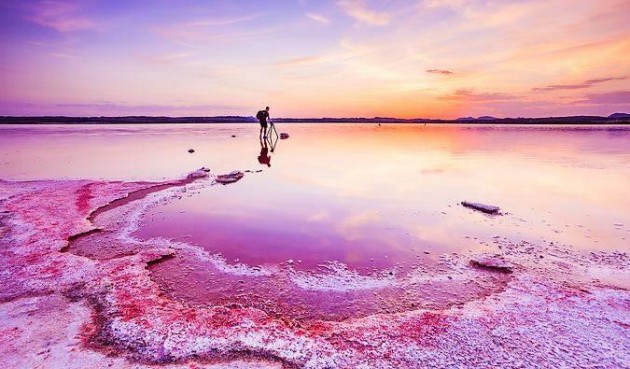 Reventa - Villa -
Los Montesinos