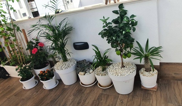 Brukt - Semi Detached -
San Pedro del Pinatar - Centro