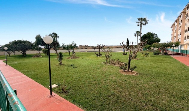 Brukt - Toppleilighet -
Torrevieja - Costa Blanca