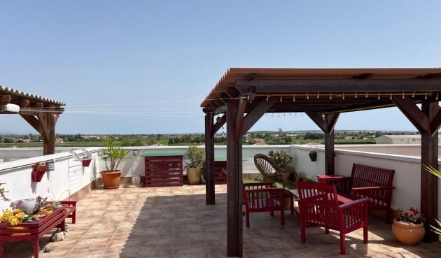 Brukt - Apartment -
Dolores - Comunidad Valenciana