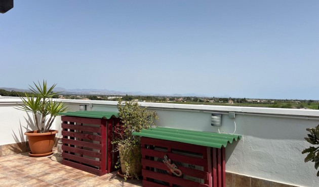 Brukt - Apartment -
Dolores - Comunidad Valenciana