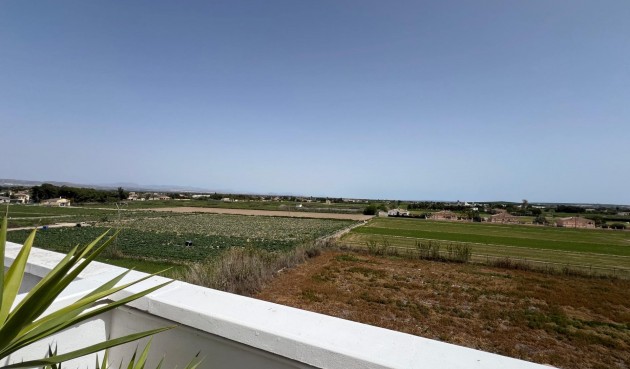 Brukt - Apartment -
Dolores - Comunidad Valenciana