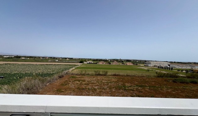 Brukt - Apartment -
Dolores - Comunidad Valenciana