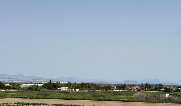 Brukt - Apartment -
Dolores - Comunidad Valenciana