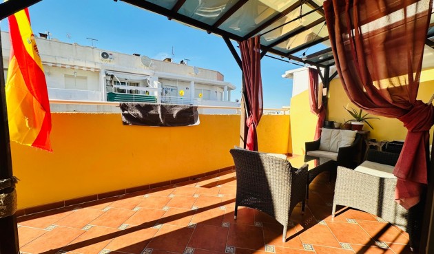 Brukt - Apartment -
Torrevieja - Costa Blanca