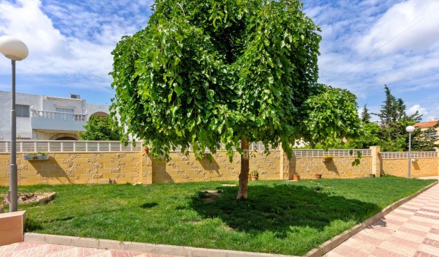 Brukt - Apartment -
Torrevieja - El Chaparral