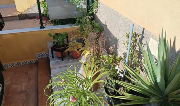 Brukt - Apartment -
Los Montesinos - Costa Blanca