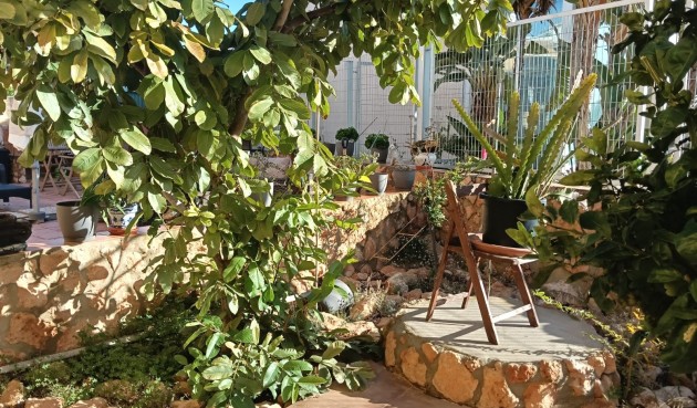 Brukt - Apartment -
Los Montesinos - Costa Blanca