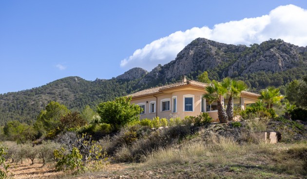 Resale - Villa -
La Zarza - Inland