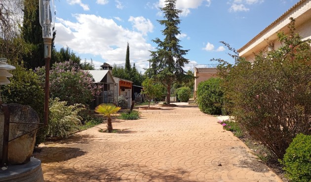 Brukt - Villa -
Yecla - Inland