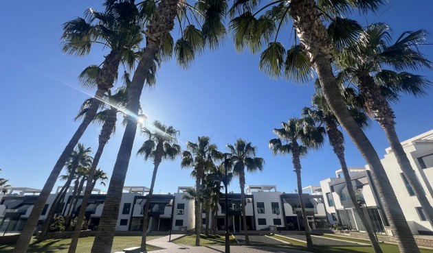 Brukt - Apartment -
La Zenia - Costa Blanca