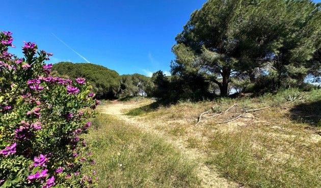 Brukt - Town House -
Guardamar del Segura - Costa Blanca