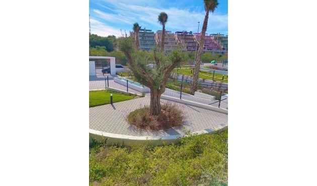 Brukt - Apartment -
Villamartin - Costa Blanca