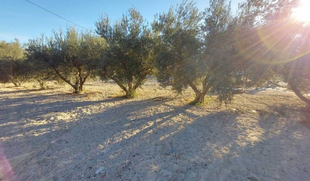 Resale - Villa -
Murcia - Inland