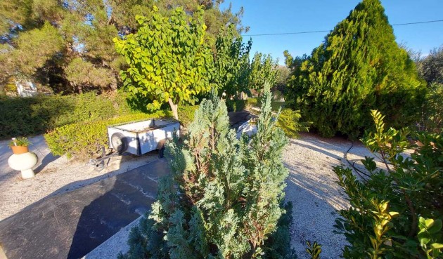 Resale - Villa -
Murcia - Inland