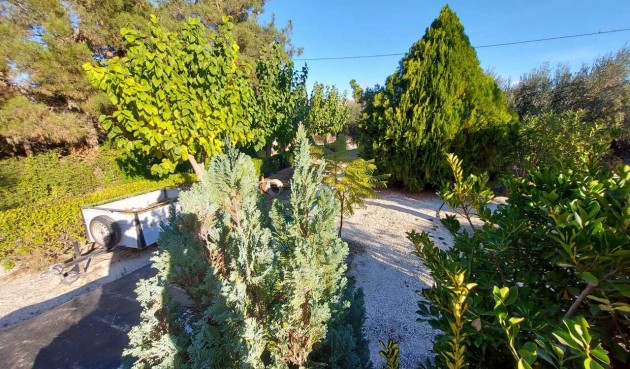 Resale - Villa -
Murcia - Inland