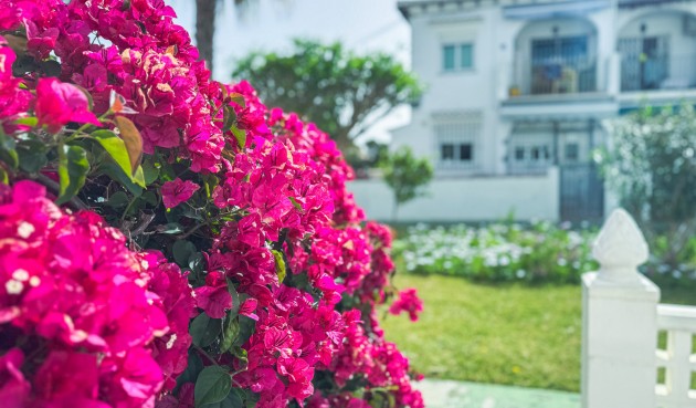 Resale - Bungalow -
Torrevieja - Costa Blanca