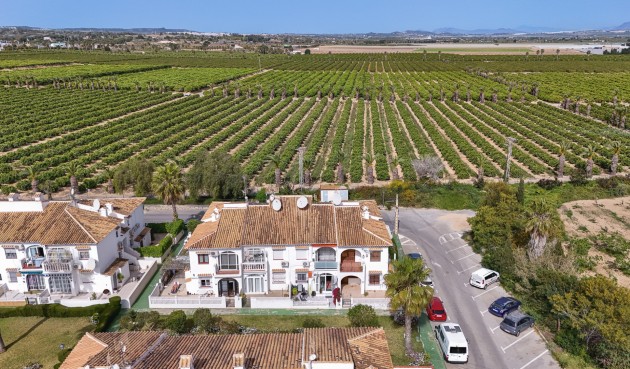 Resale - Bungalow -
Torrevieja - Costa Blanca