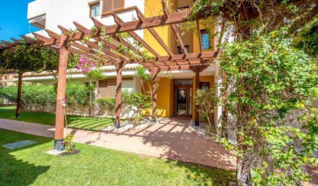 Resale - Apartment -
Torrevieja - Costa Blanca