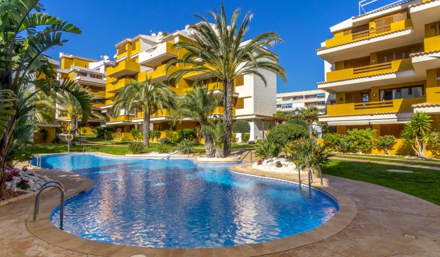 Resale - Apartment -
Torrevieja - Costa Blanca