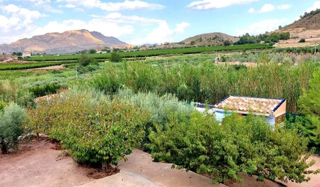 Resale - Villa -
Murcia - Inland