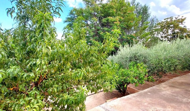 Resale - Villa -
Murcia - Inland