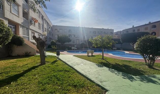 Återförsäljning - Apartment -
Torrevieja - Costa Blanca
