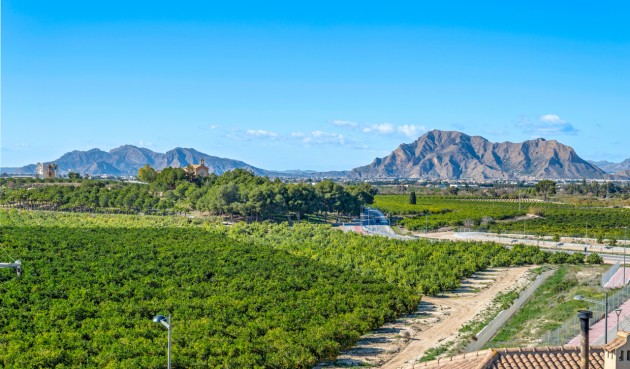 Resale - Apartment -
Algorfa - Inland