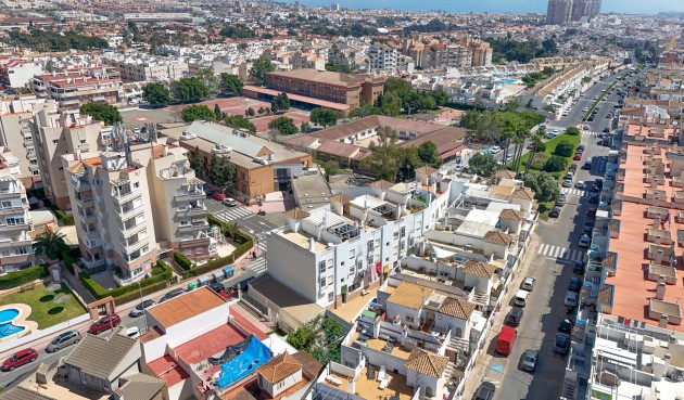 Reventa - Apartment -
Torrevieja - Costa Blanca