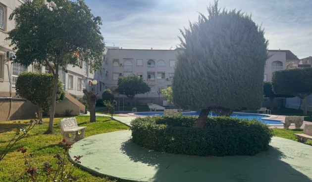 Återförsäljning - Apartment -
Torrevieja - Costa Blanca