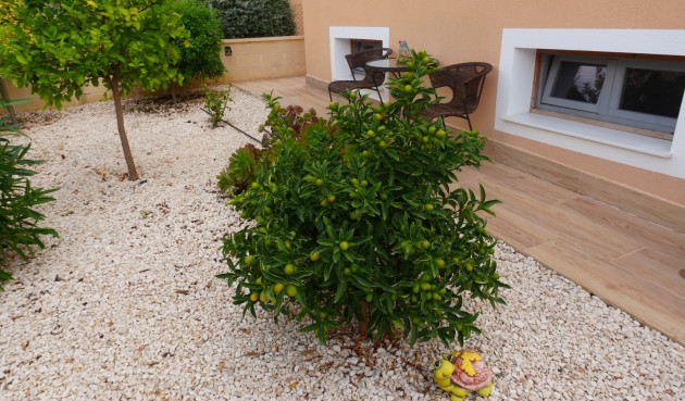 Brukt - Villa -
La Romana - Inland